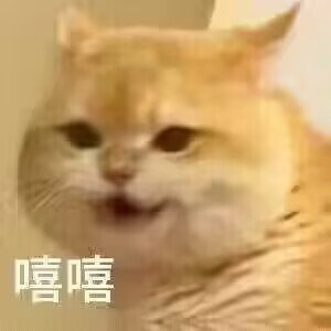 现在就算是带中毒手镯，只要是凤爪的流派上衣用深潜也更强了1