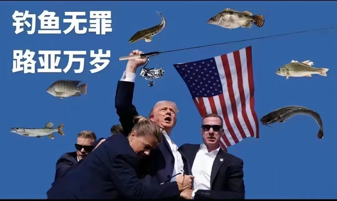 牛逼！懂王！1