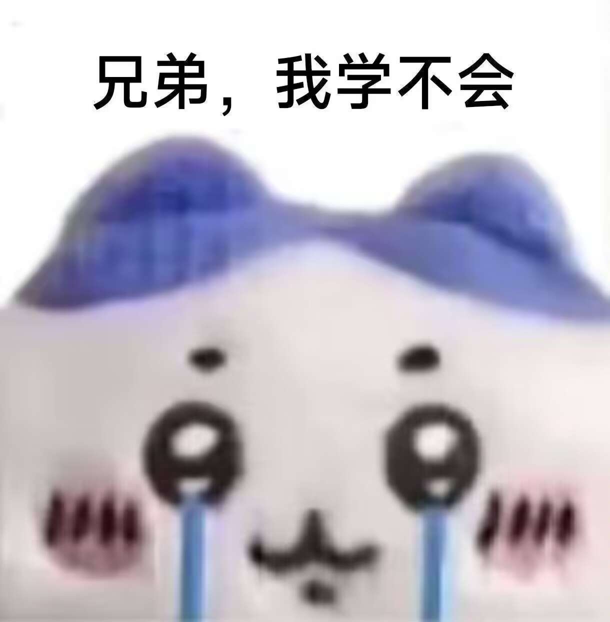 还要一个月，好慢啊1