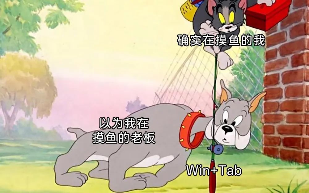 最近看不到泡总1