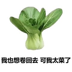 池塘怎么回事？1