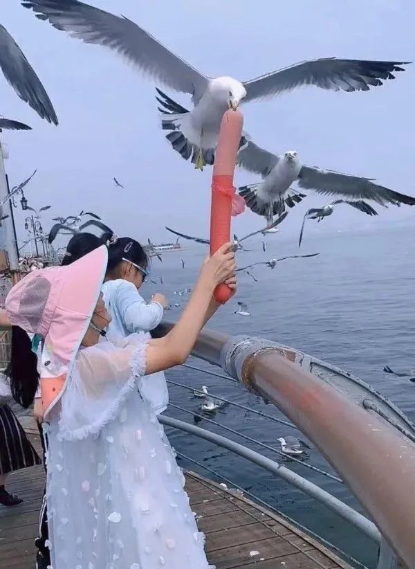 好大好长好粗 快来吃 ⁄(⁄ ⁄•⁄ω⁄•⁄ ⁄)⁄1