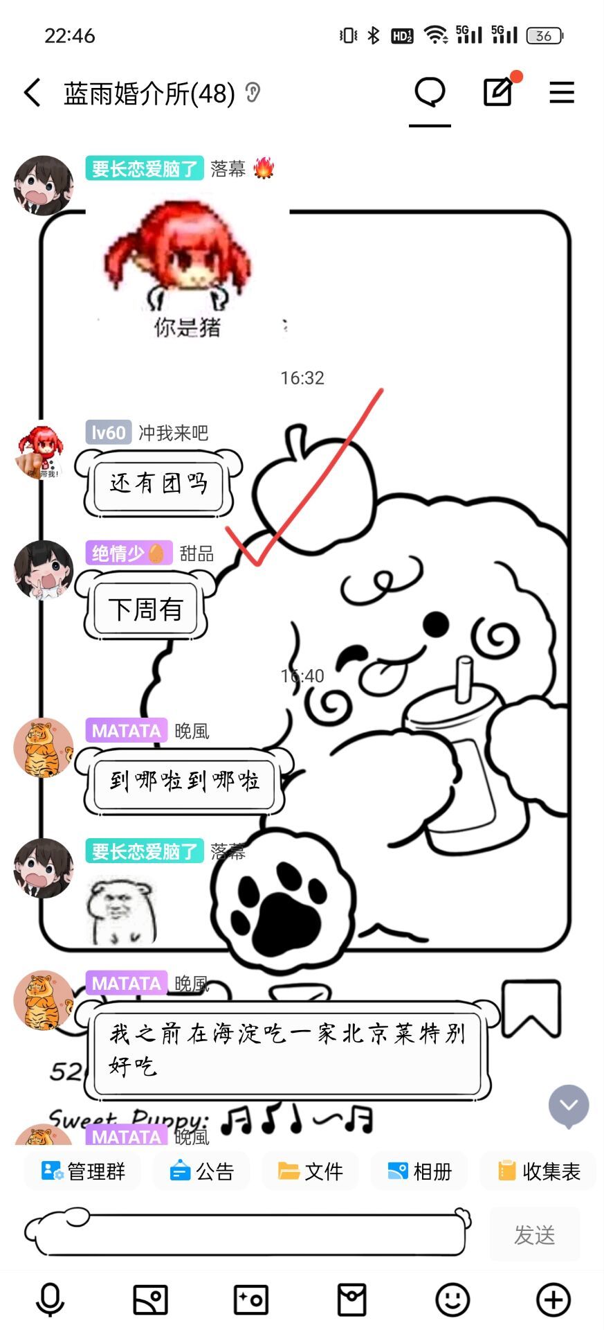 跨6最后一次扩招，只要晚上7点档8波成员2-3名，地球不爆炸蓝雨不放假3