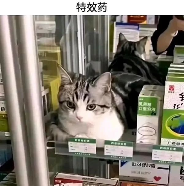 特效药——专治不开心2