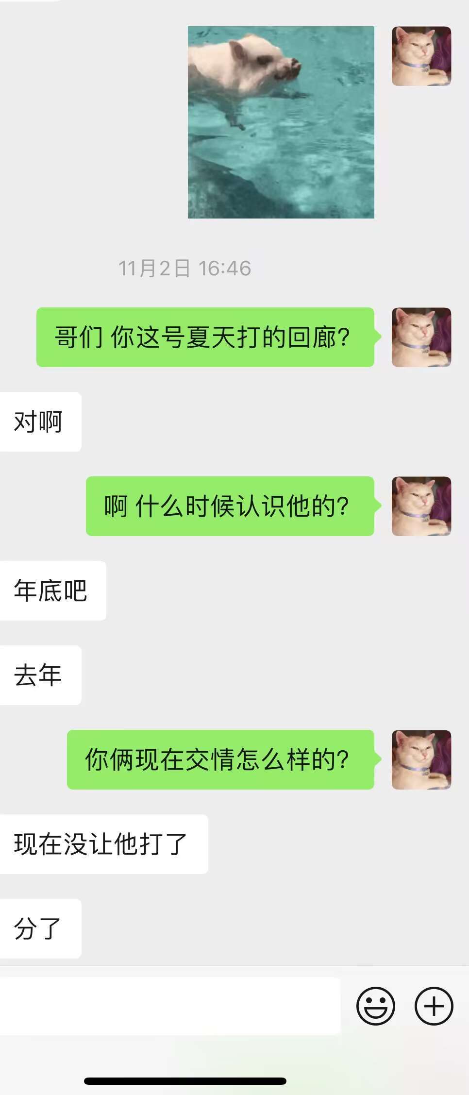 乌鸡圈的耻辱，武极夏天欠钱装死（诸多黑料，多图多记录）16