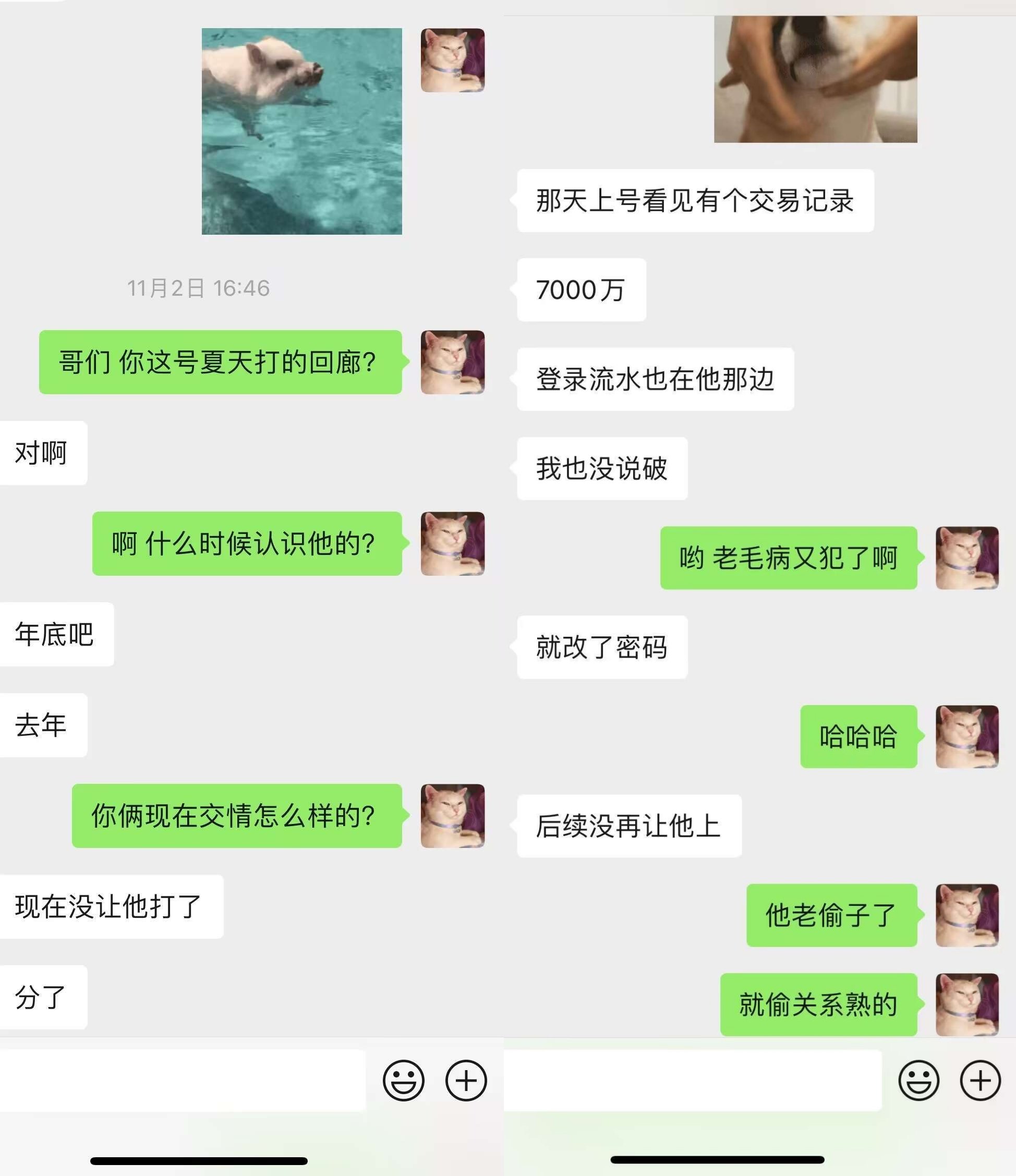 刀客塔吃瓜系列：另有隐情还是人品不行？武极夏天欠钱吃瓜贴10