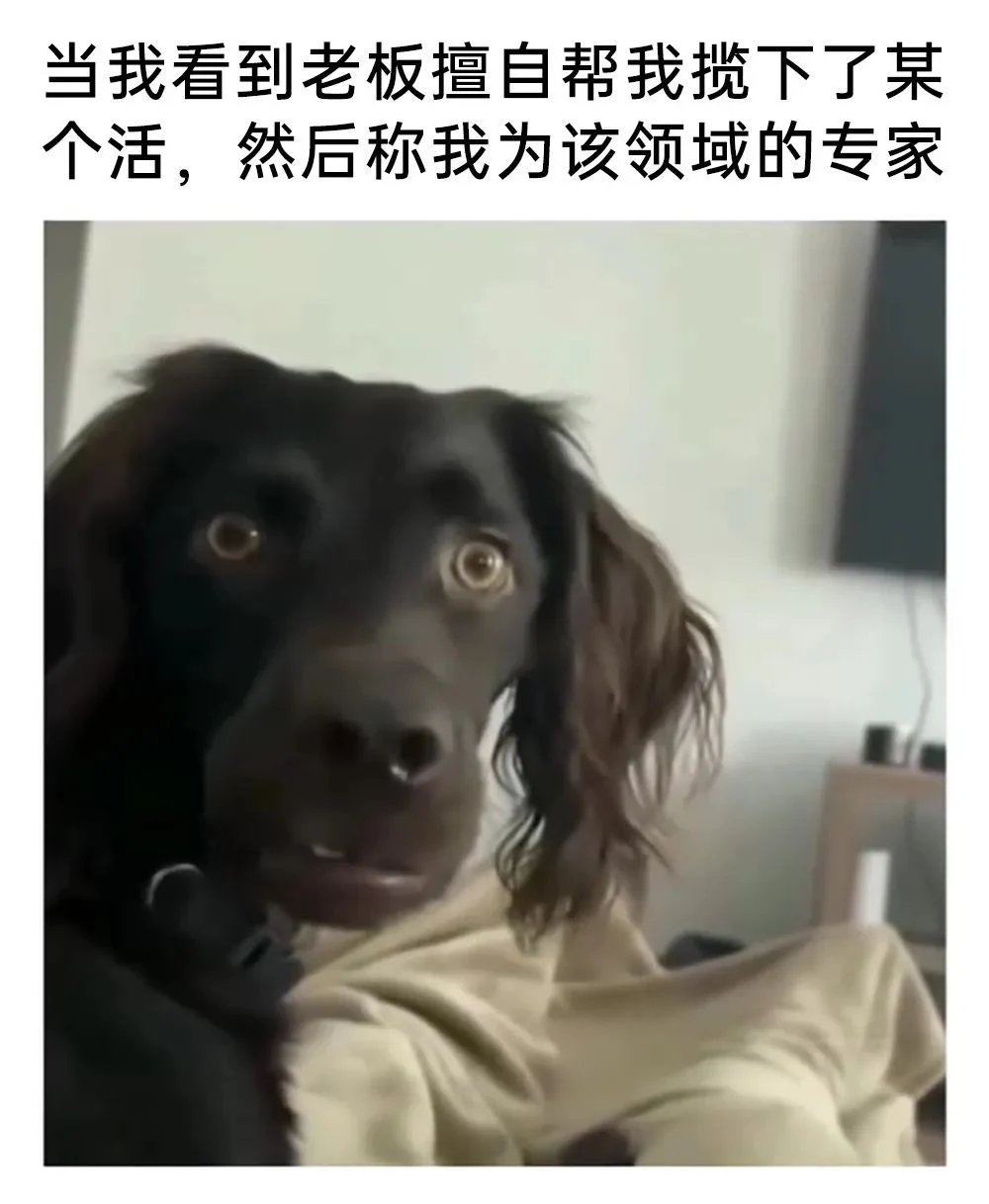 好累啊1