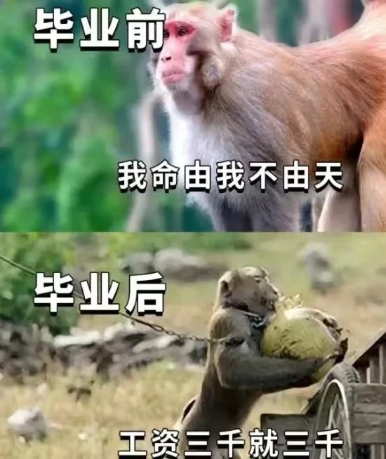 谈恋爱还是太花钱了1