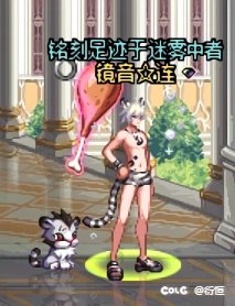 买都买了就试试小老虎吧2