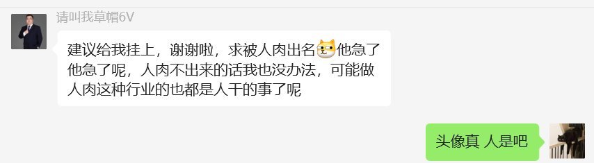 找回狗与护卫犬的爱恨情仇，谁懂啊10