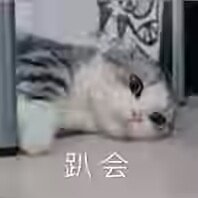 跨三B 小团体 招小伙伴1