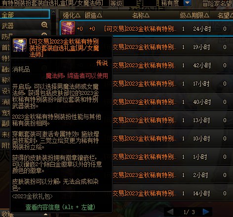 盘点全职业专属稀有装扮（具有稀有天空属性）的外观和数量89