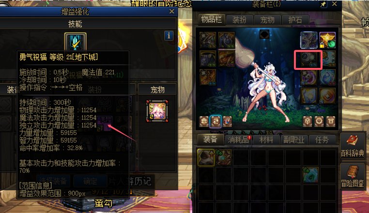 请大佬鉴定下是职业BUG还是装备BUG1