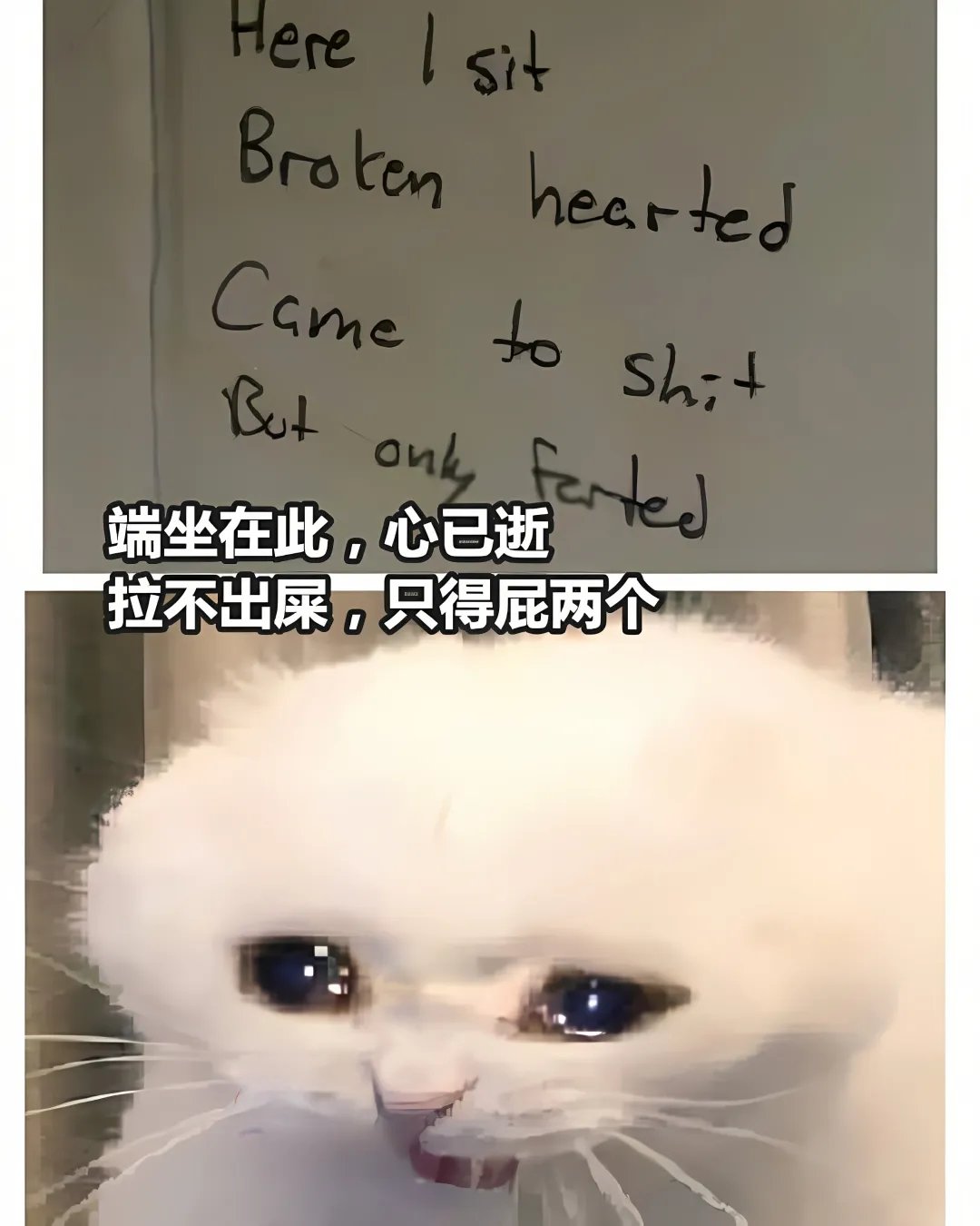 终于不用开空调了1