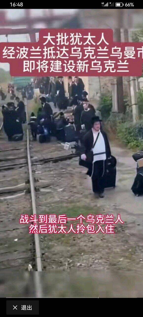 鱿鱼这是开辟第二家园了3