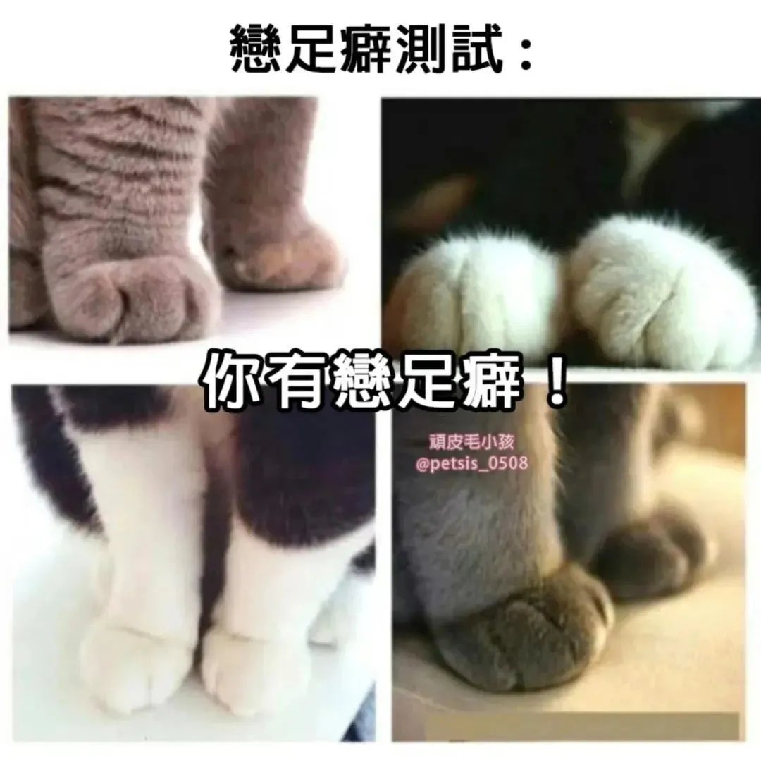 恋足癖测试1