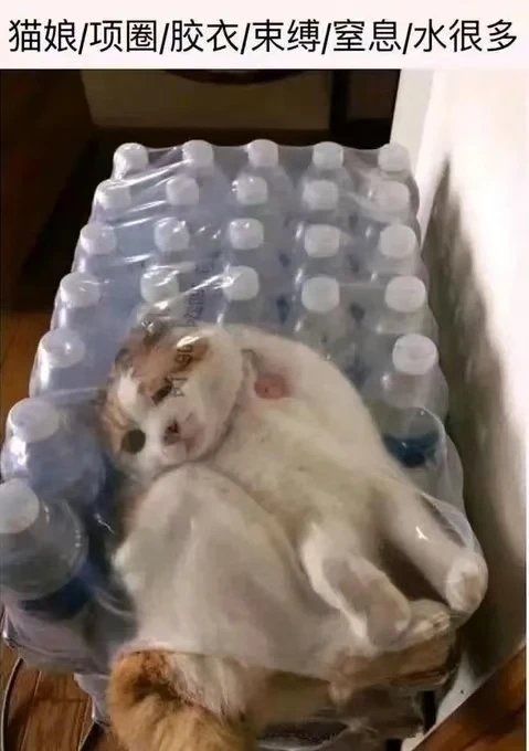 猫娘！项圈！胶衣！束缚！窒息！水很多！！！1