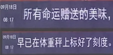 双十一开始了？1