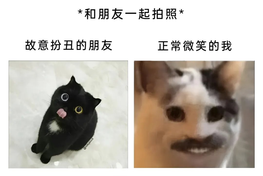 那个蓝色头的老鼠？1