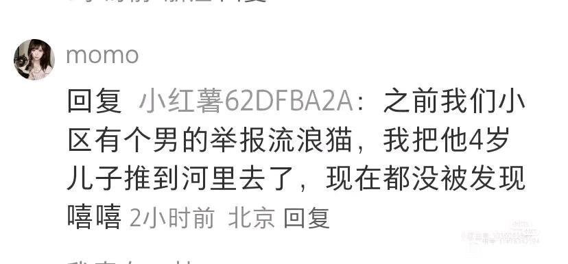 被无孩爱猫女吓到了（刚被小红薯推荐的）1