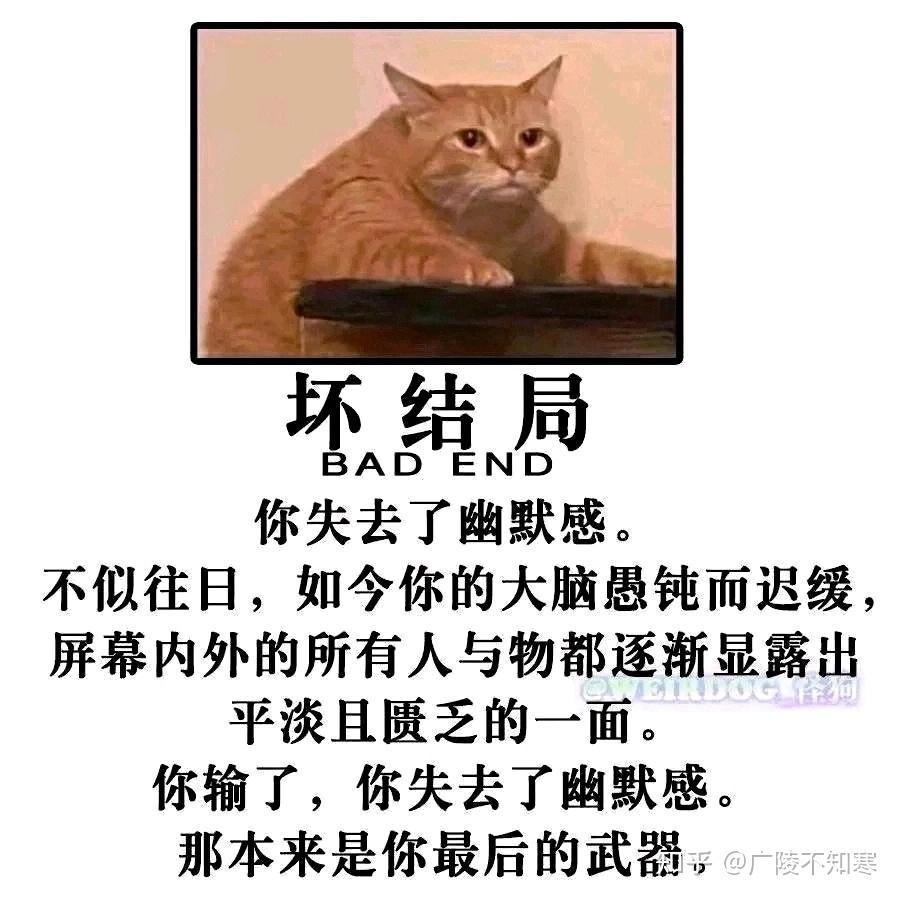 你输了，你失去了幽默感，那本来是你最后的武器1