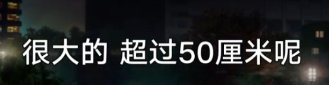 【悲喜渔生】来点钓鱼佬笑话6