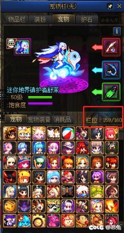重泉版本有没有说时装栏和宠物栏还能不能拓展的事啊1