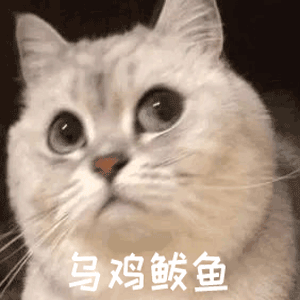 应援buff很好，但是以后别出了，总有那么几个没AC数的搞事情5