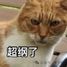 谷歌量子芯片引爆热议：5分钟算完10²⁵年任务，Nature加急发表，还证实了多元宇宙？？？18