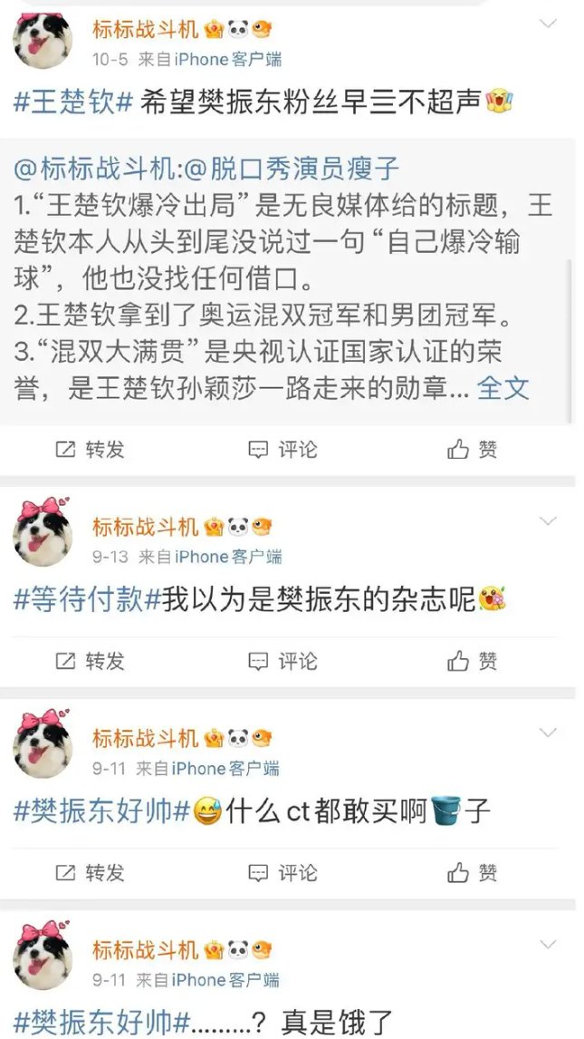 乒乓球饭圈现状1