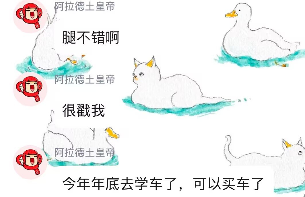 我就是阿拉德土皇帝，我主宰整个阿拉德。5