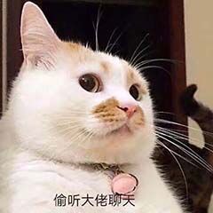 现在打桩多少e才是合格的c？1