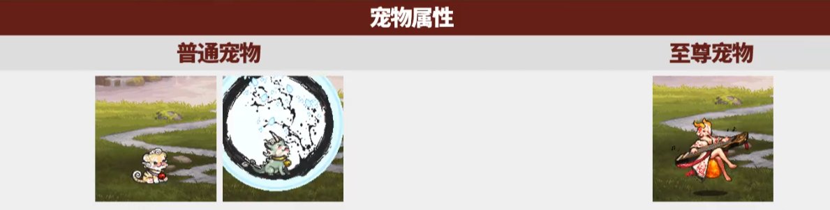 这宠物看着真廉价啊1