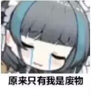 至尊宠物外观的事又没声了，突然不太想买年套了1