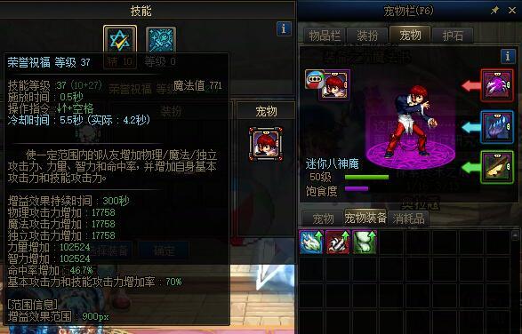 策划我rnm，宠物装备用不了2