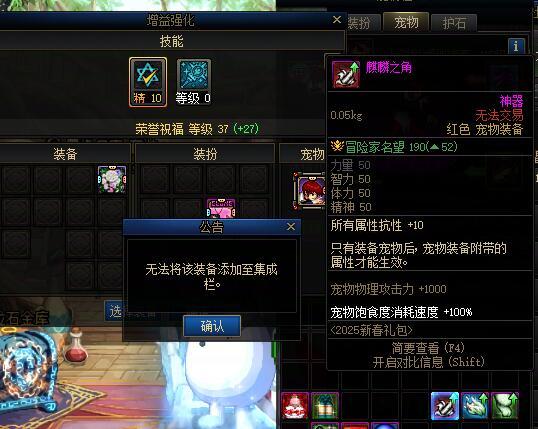 策划我rnm，宠物装备用不了1