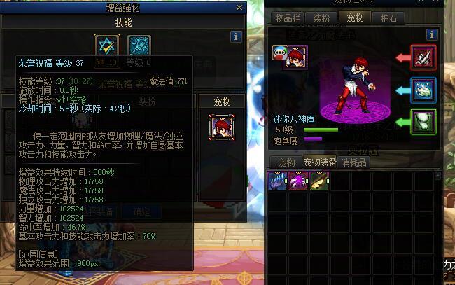 策划我rnm，宠物装备用不了3