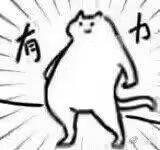充满光头的每一天5