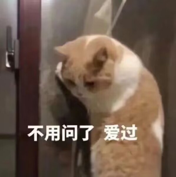 “来点鹦鹉语录”1