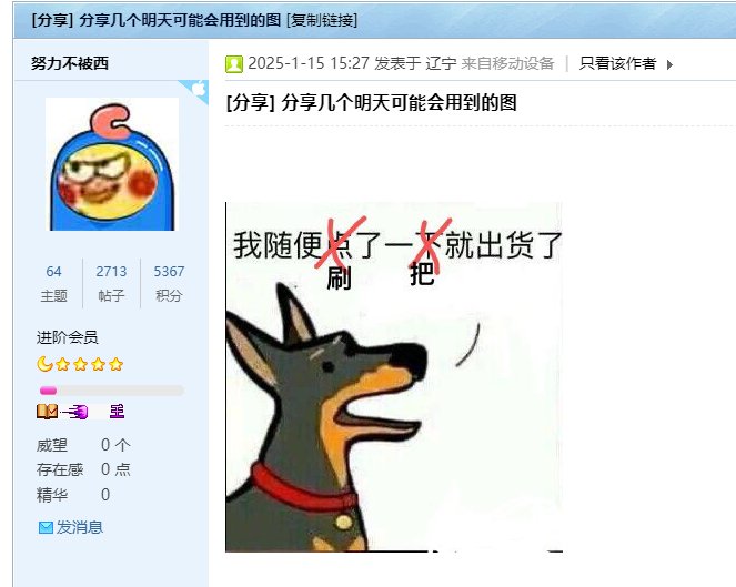 【沃特碧BB】1.21是什么样的缘分，让我们在论坛也能相遇？5