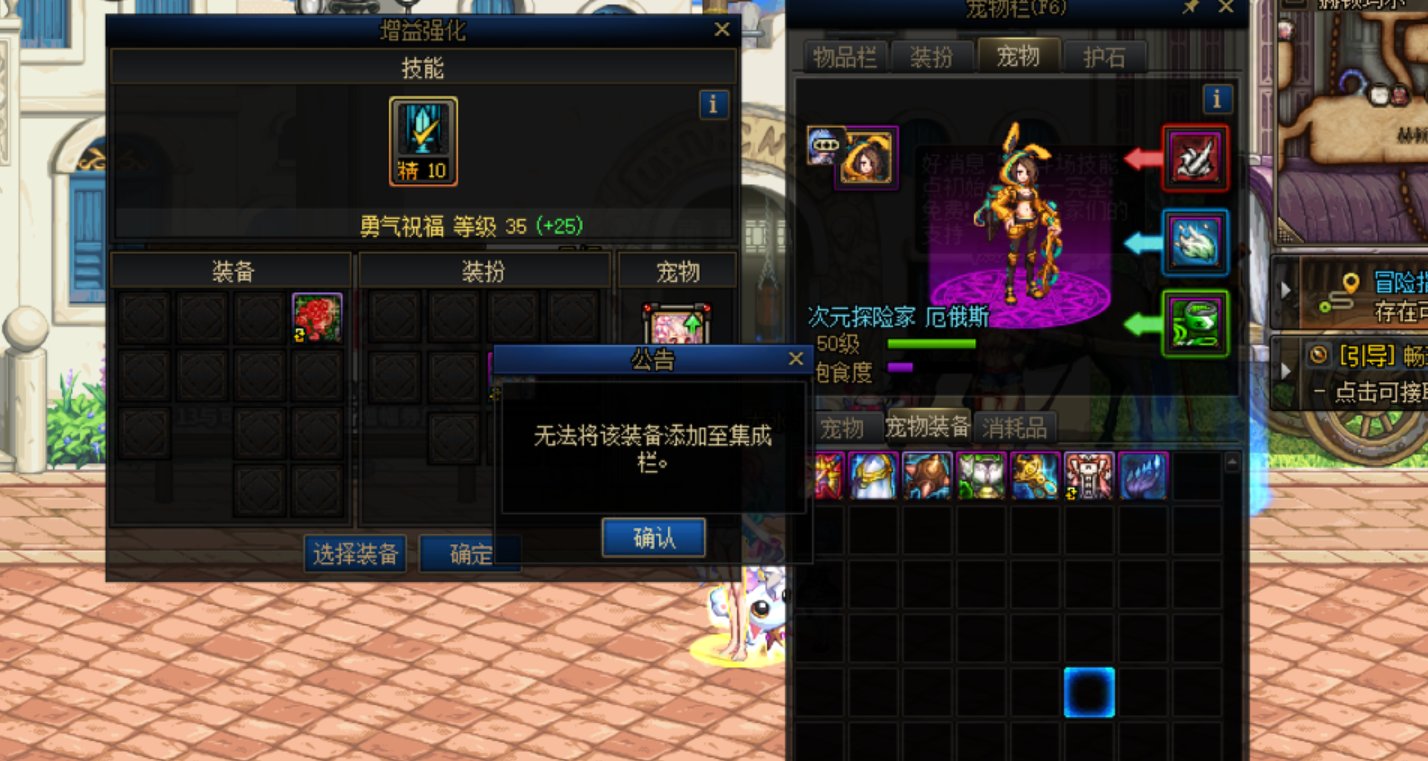 奶登记的宠物装备卸不下来了2