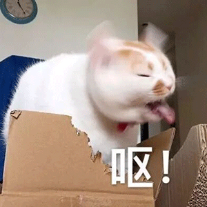 之前的装备自由搭配多好，非要死回去套装，恶心死.1