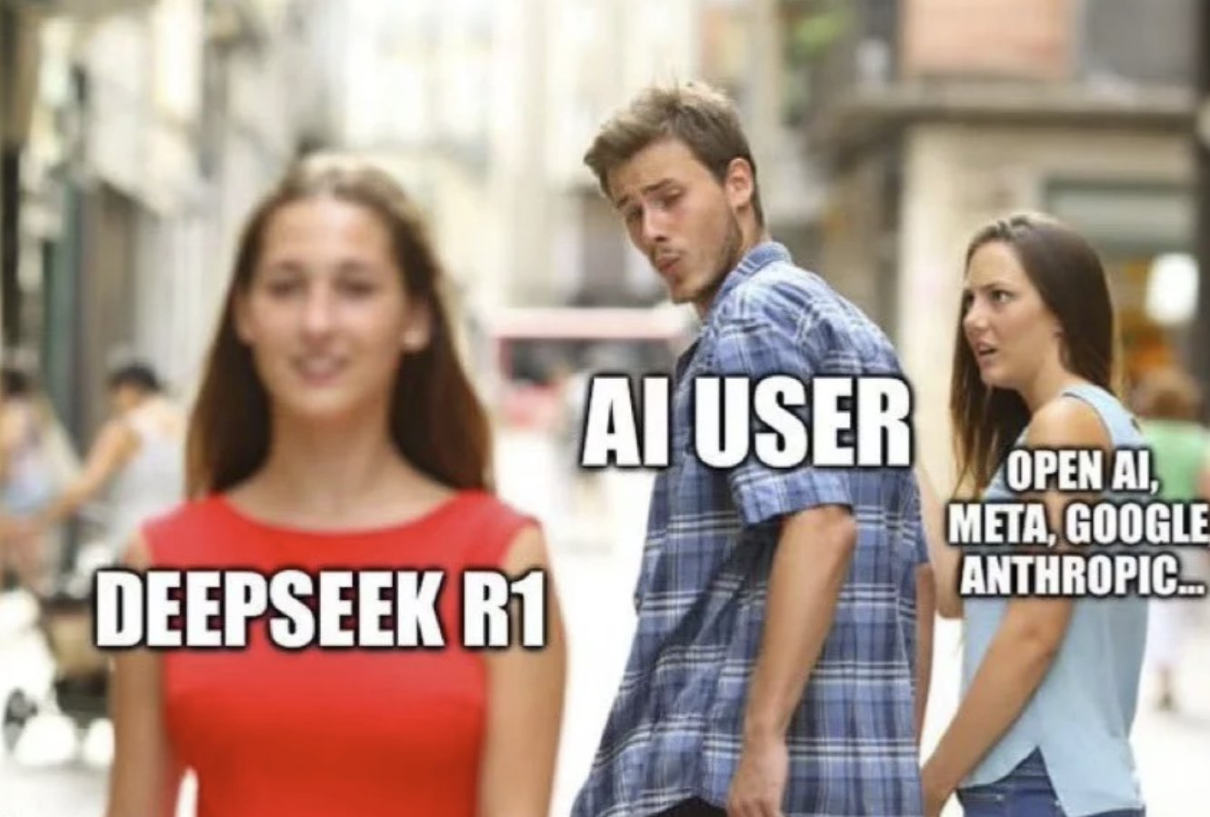 发点网上的deep seek的表情包2