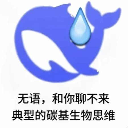 发点网上的deep seek的表情包5