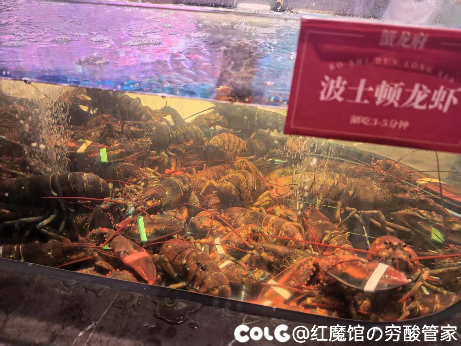 今天吃顿好的1