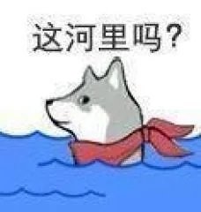 大号全勤深渊已经一个月了4