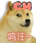 【破事水】神秘的力量让幸运降临！3