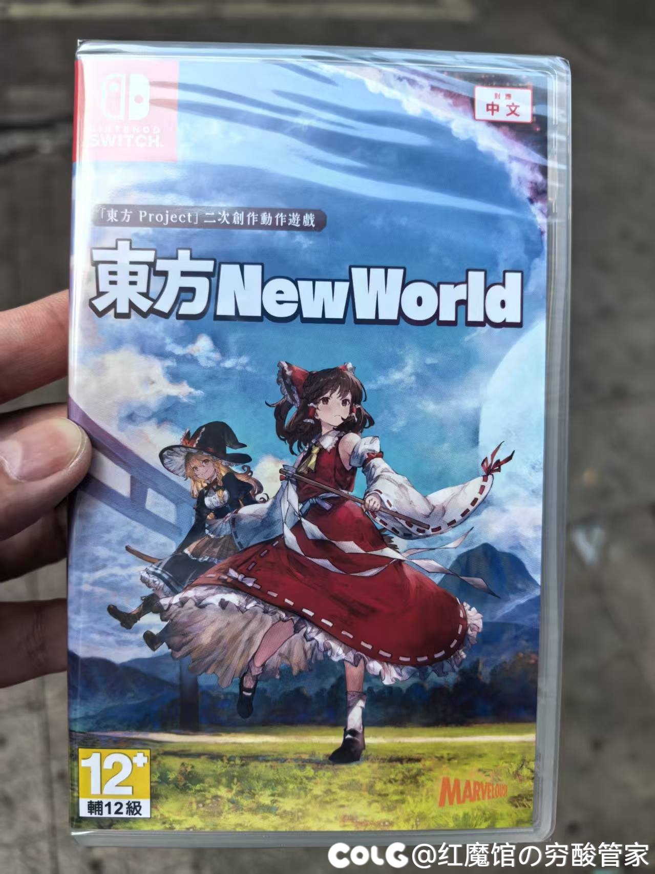 2025年买的第一个游戏卡带1