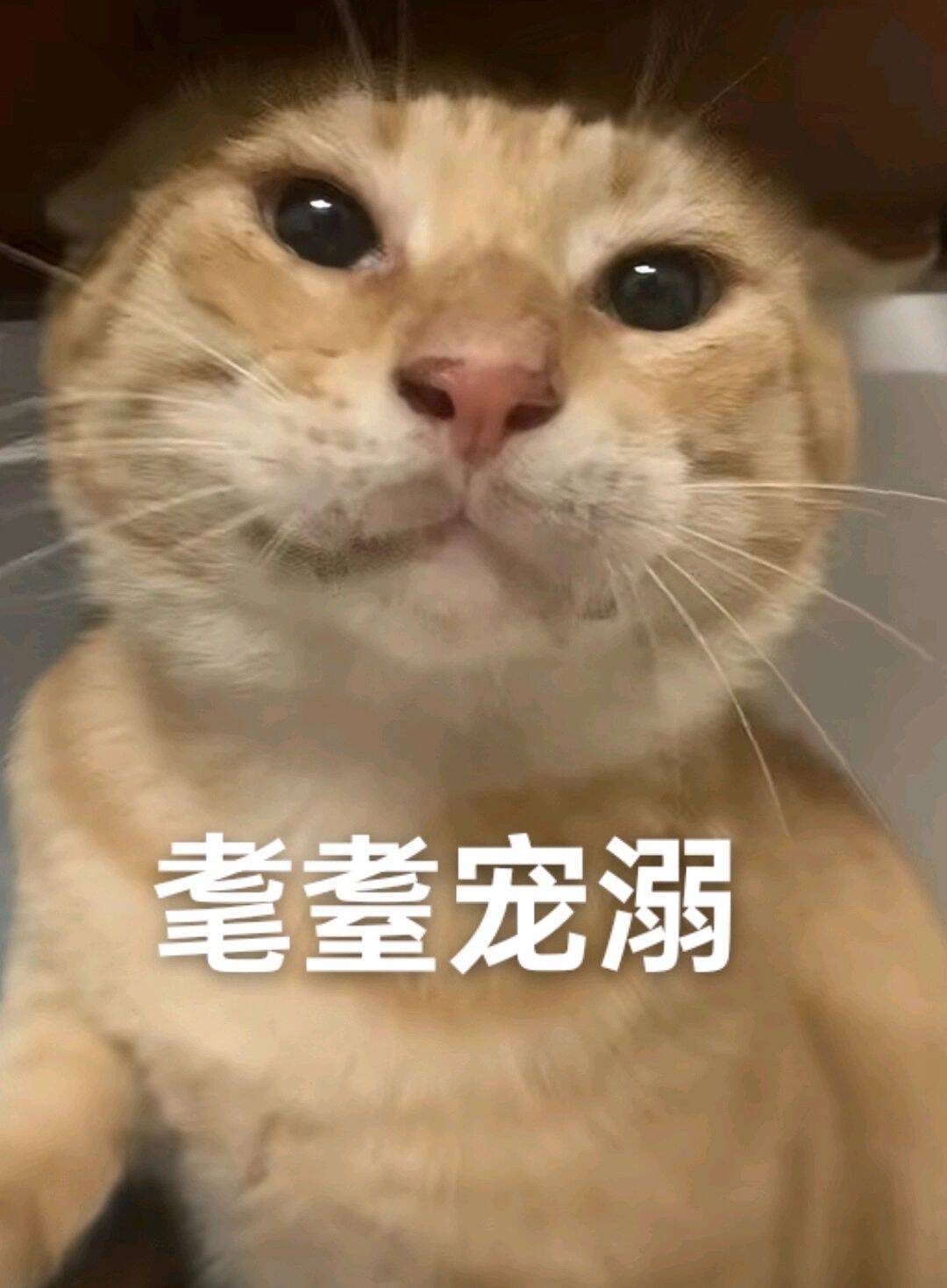【分享】巴卡尔摸金大伙出过几次卡片1