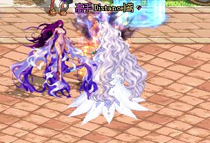 23年新春普通宠物改维纳斯1